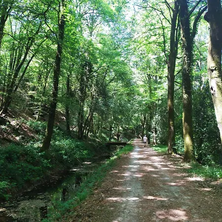 Oda ve Kahvaltı 